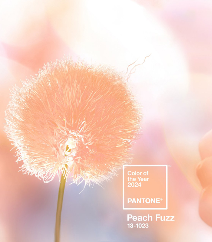 «Персиковый пушок». А вы видели цвет 2024 года?